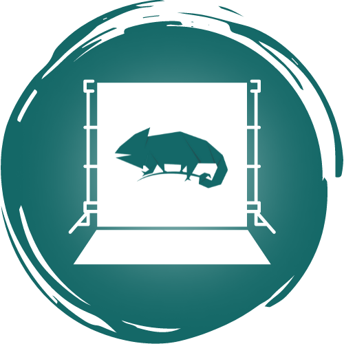 Banner - Lonas - Multicores