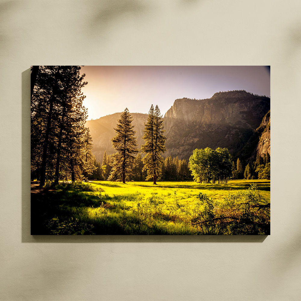 Fototela - Quadro com Borda Infinita - Multicores Comunicação Visual