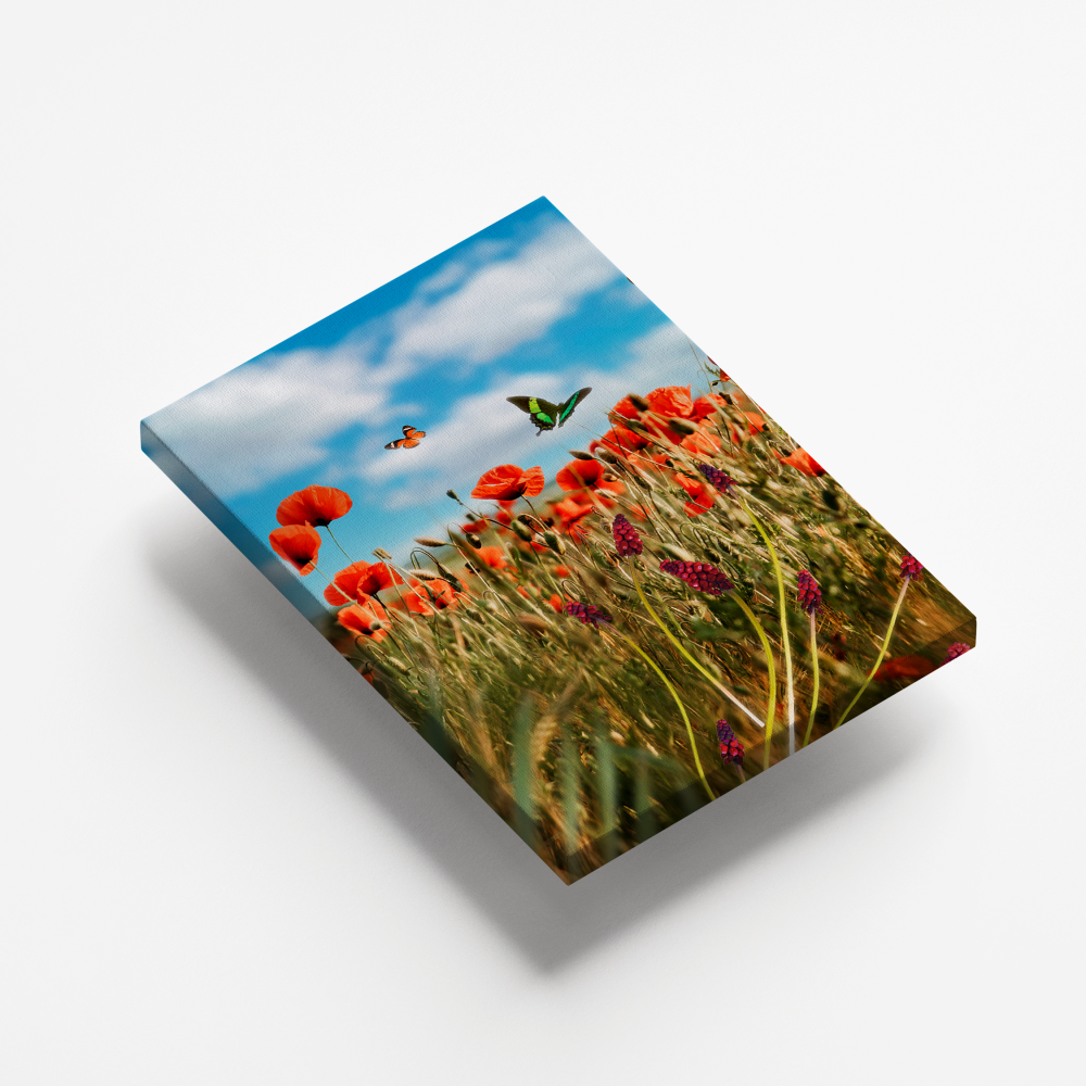 Fototela - Quadro com Borda Infinita - Multicores Comunicação Visual